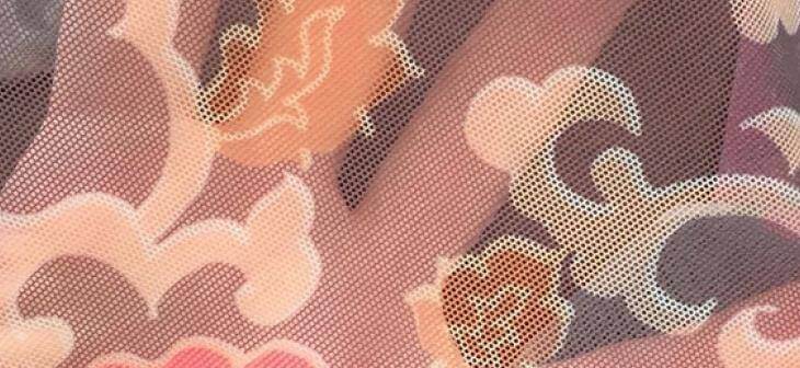 Принты на стрейч-сетке